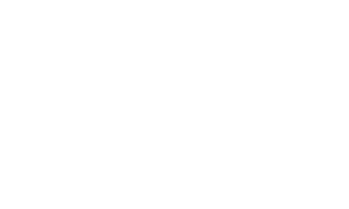 Zoot Woman